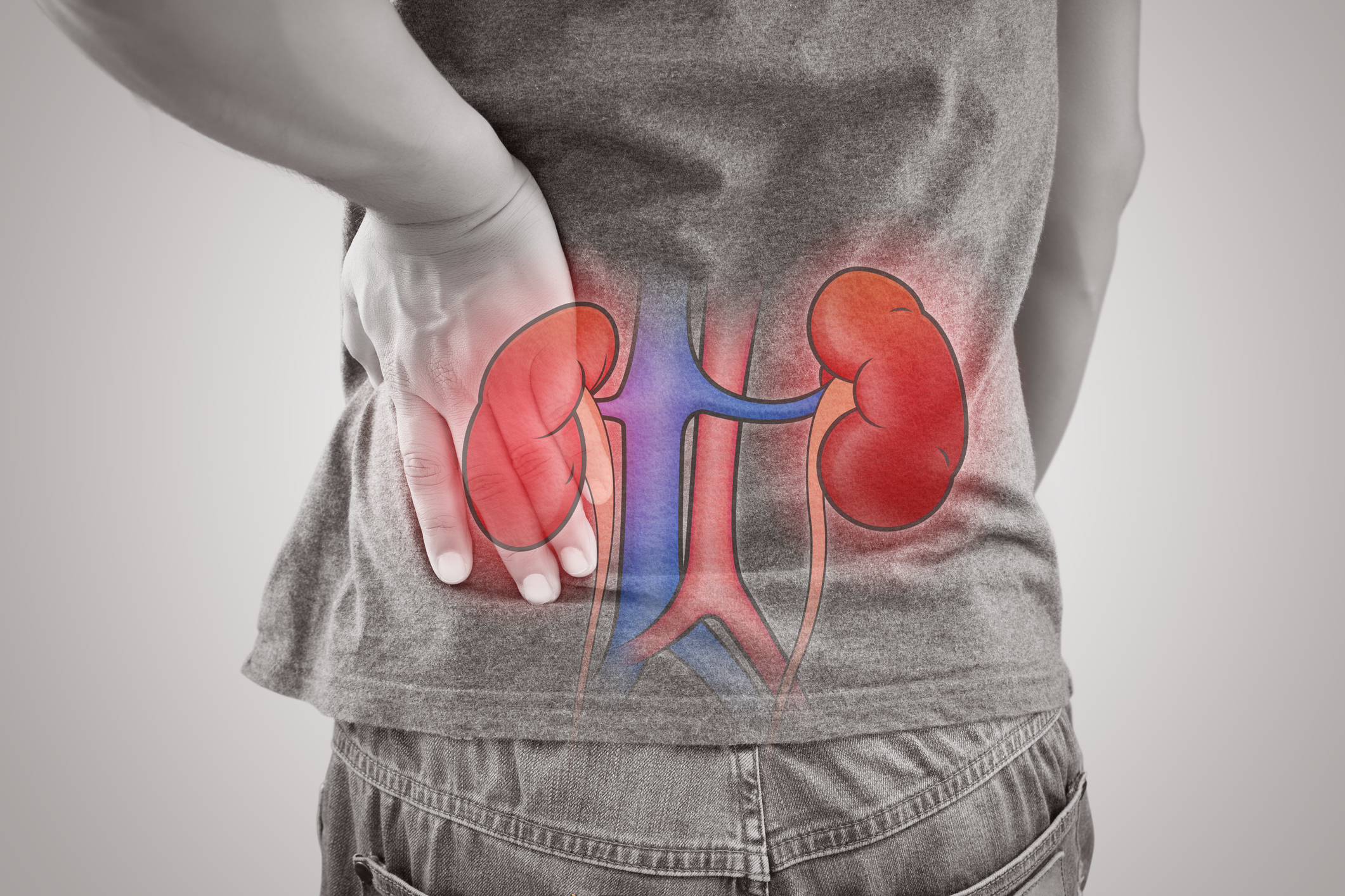 Read more about the article IMPORTANT – KIDNEY DESERVES THE BEST